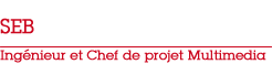 ingénieur & chef de projet multimédia